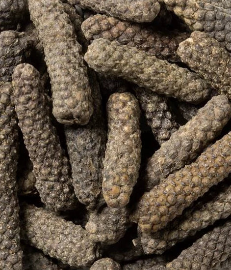 Long Pepper / Pippali (Piper Longum)