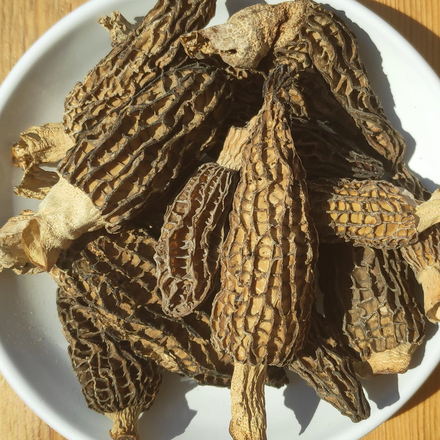 Image for Greek Morel Mushrooms (Morchella)