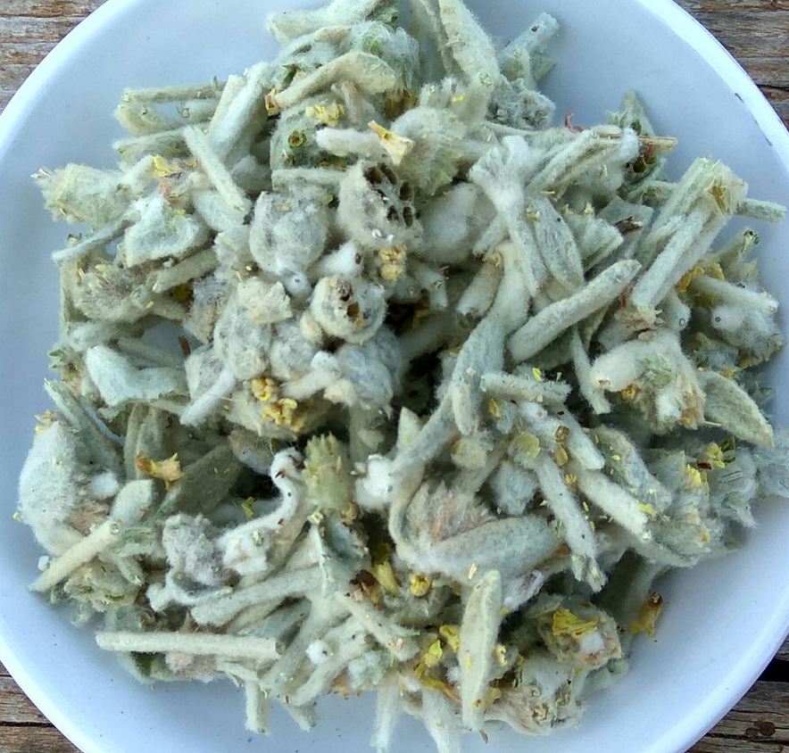 Image for Cretan Mountain Tea / Malotira | Organic (Sideritis Syriaca)