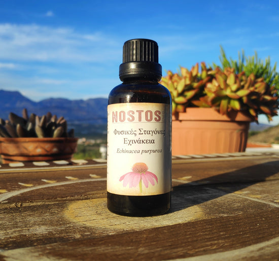 Purple Coneflower Tincture (Echinacea Purpurea)