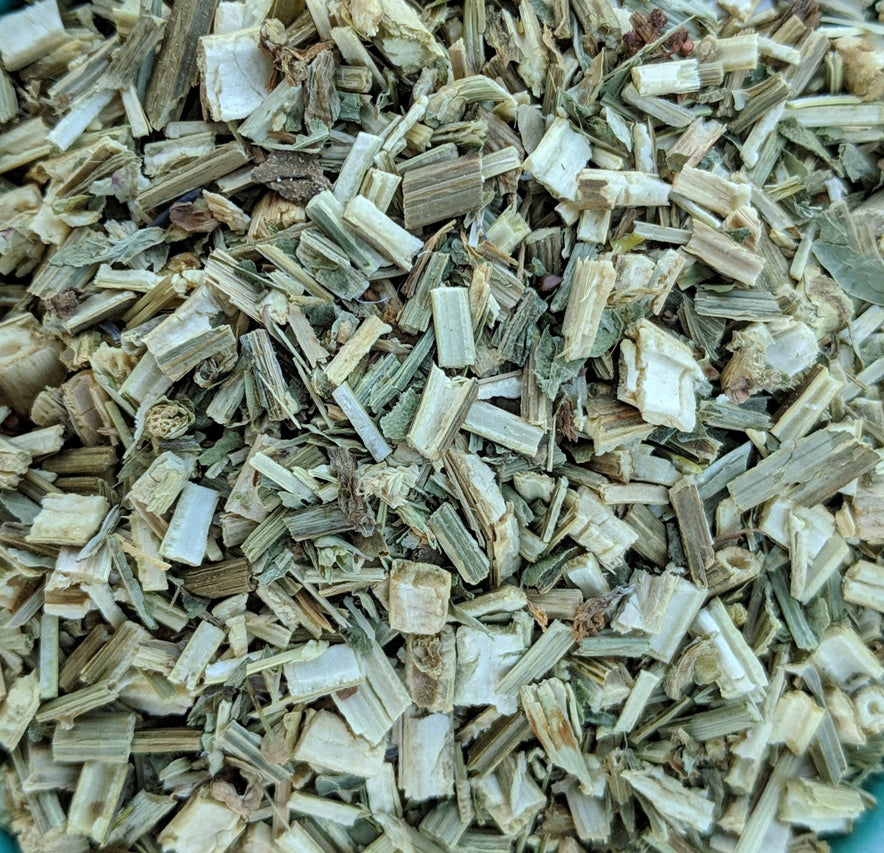 Image for Chicory (Cichorium Intybus)