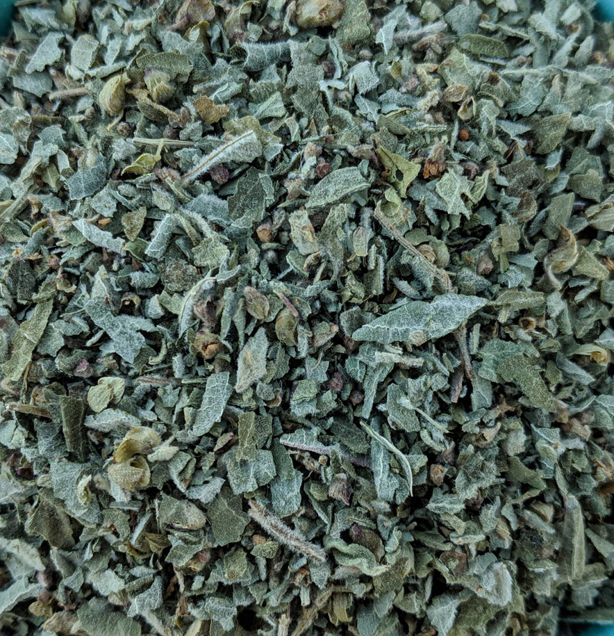 Image for "Vana" Tulsi / Holy Basil (Ocimum Gratissimum)  | Our Biodynamic Cultivation