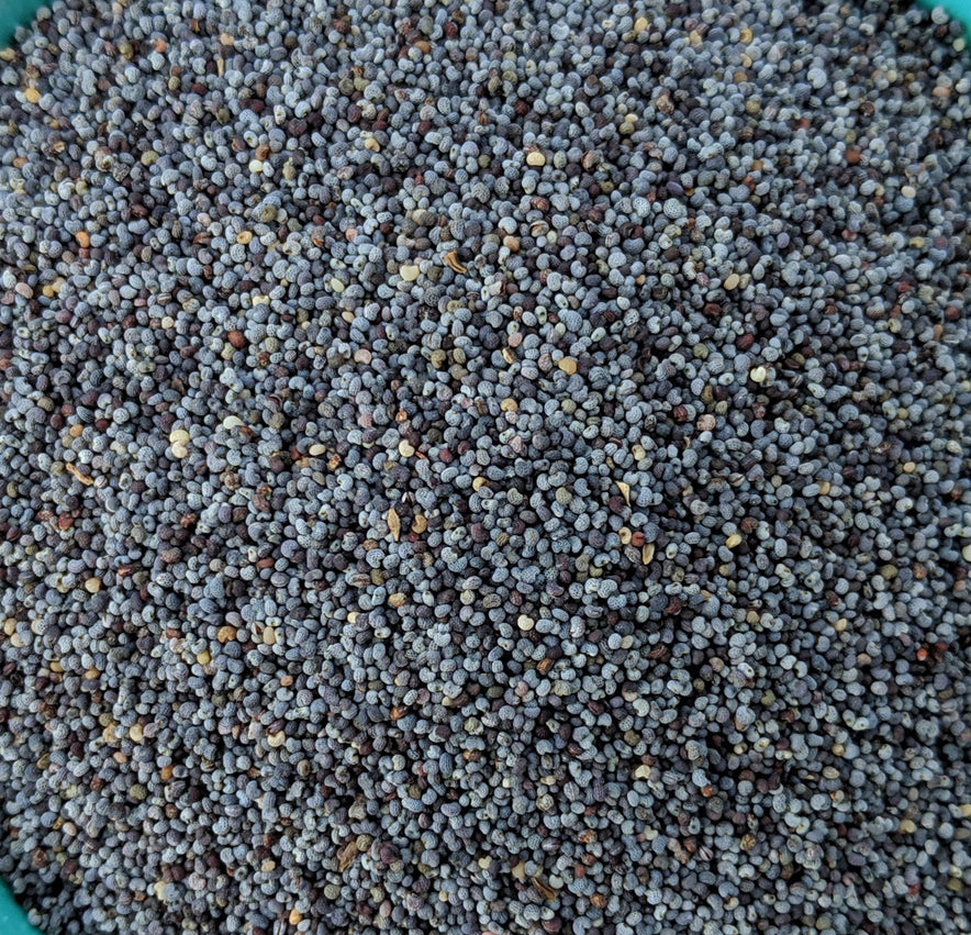 Image for Poppy Seeds