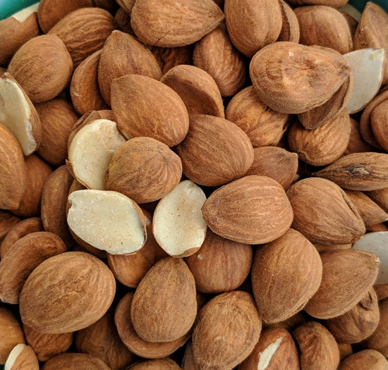 Apricot Seeds