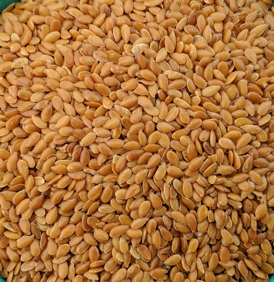 Bild für Goldener Leinsamen / Leinsamen