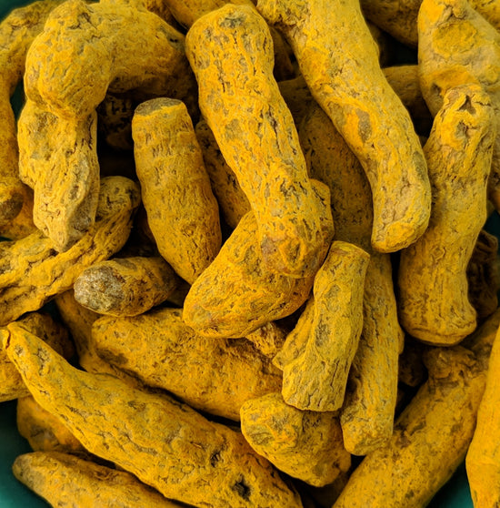 Turmeric Root (Curcuma Longa)