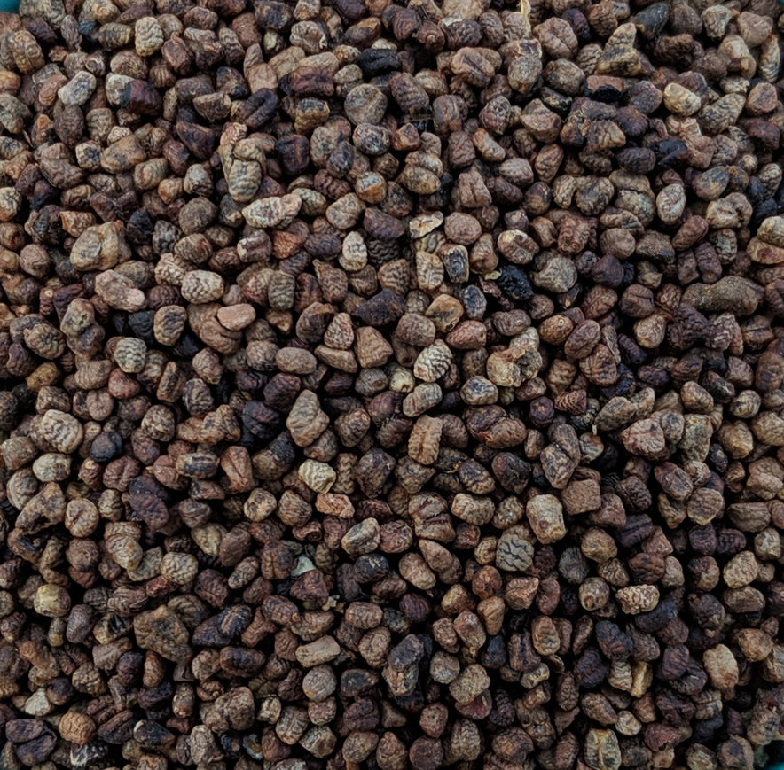 Image for Cardamon Seeds (Elettaria Cardamomum)