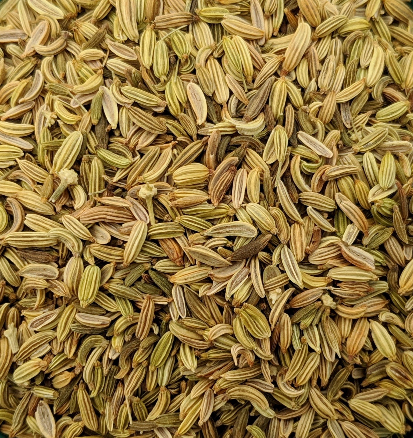 Fennel Seeds (Foeniculum Vulgare) Organic