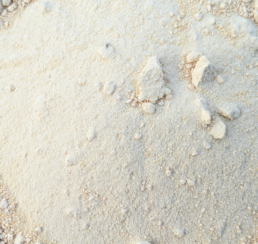 Image for Horseradish Powder (Armoracia Rusticana)