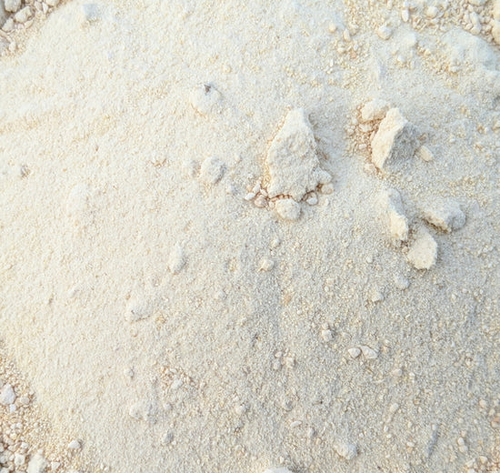 Horseradish Powder (Armoracia Rusticana)