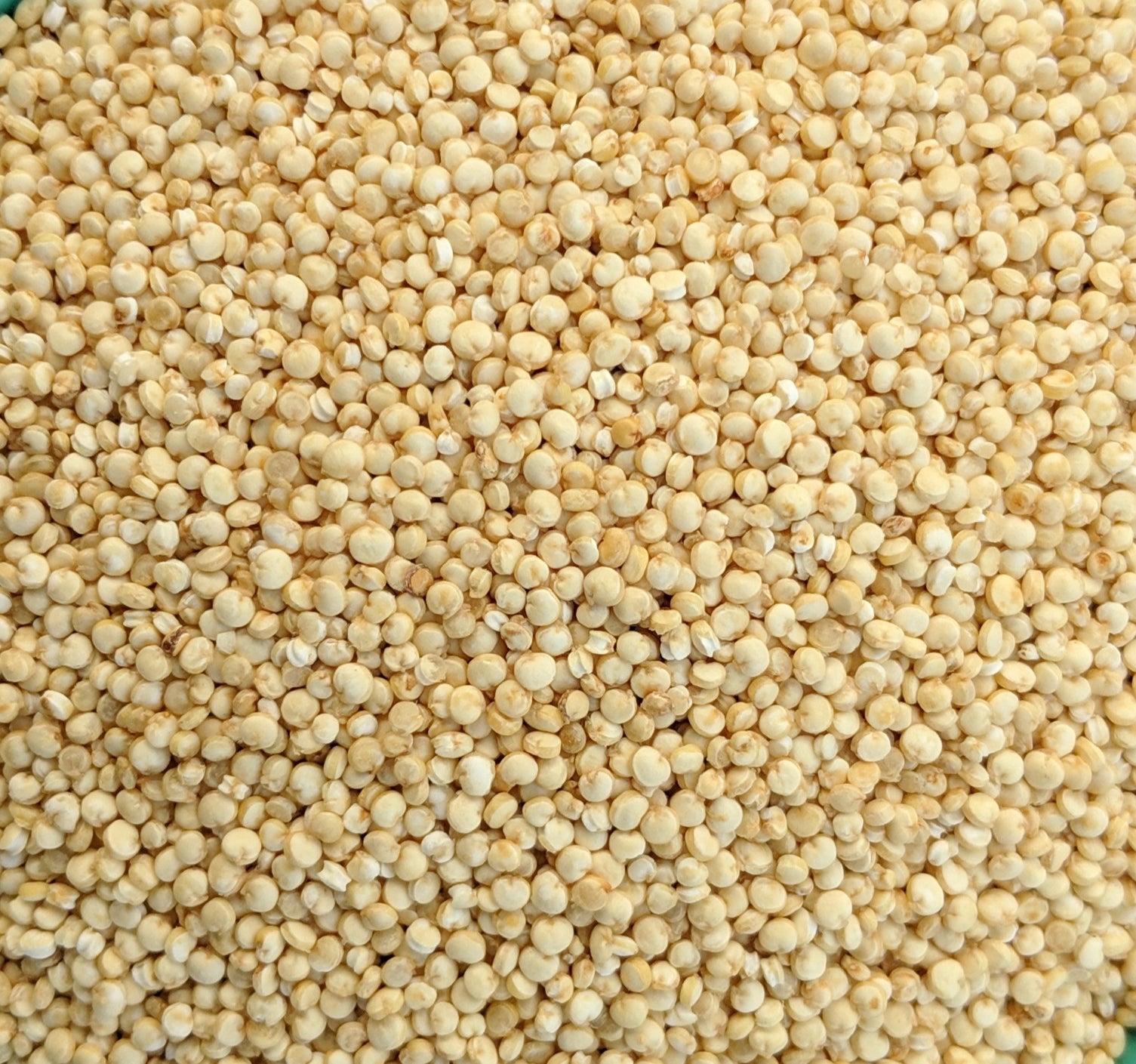 Quinoa | Organic