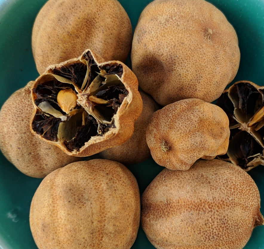Image for Lime / Loomi Lemon (Citrus Aurantifolia)