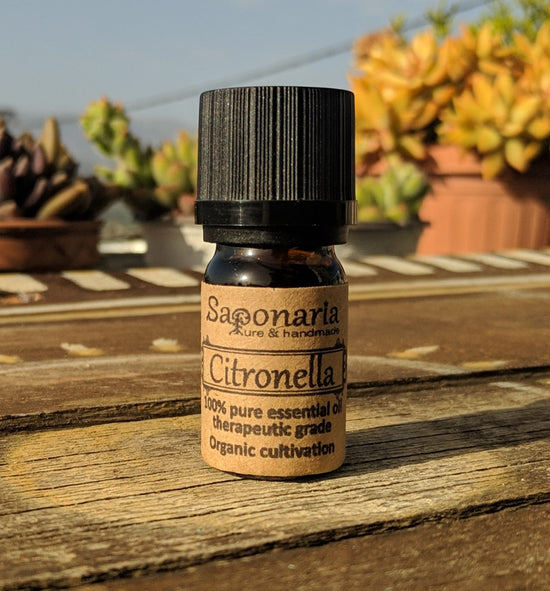 Citronella Essential Oil