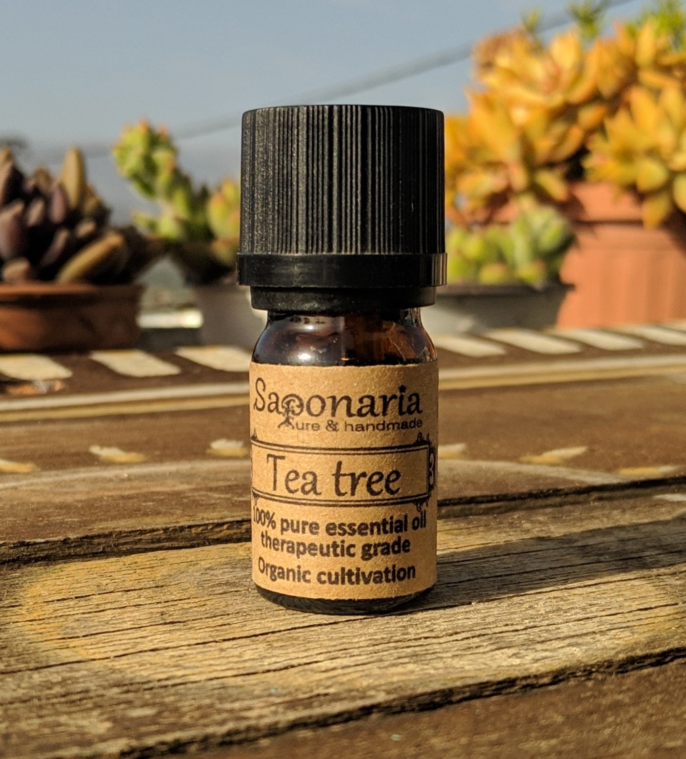 Tea Tree Essential Oil