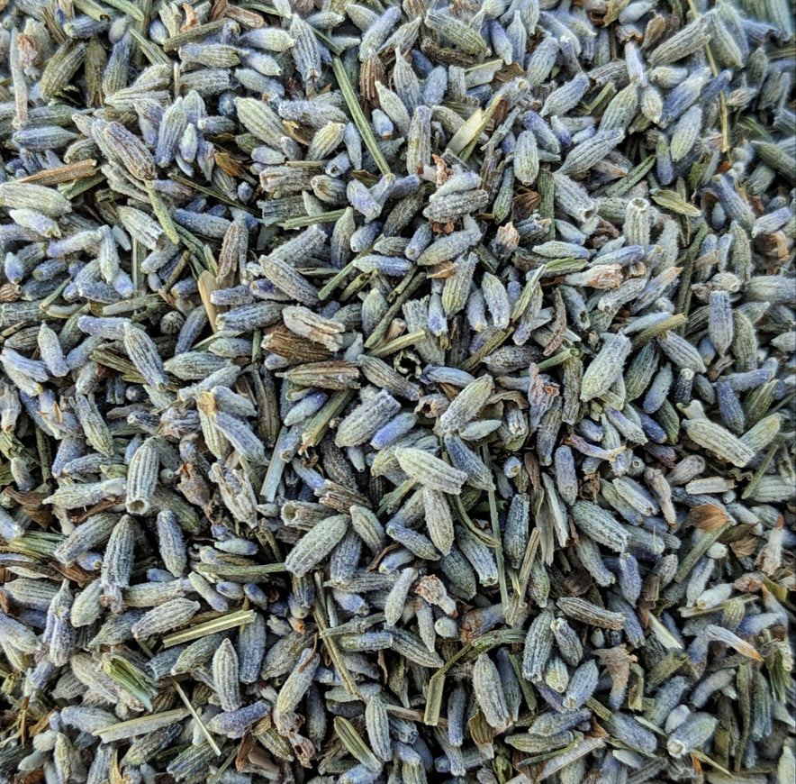 Image for Lavender (Lavandula Officinalis) - Organic