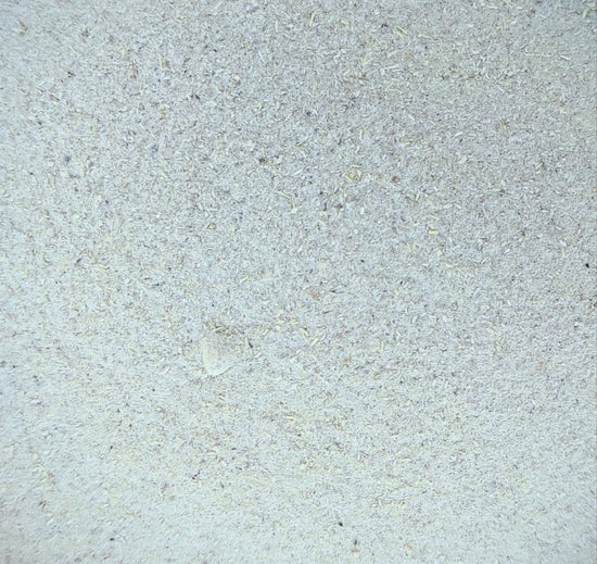 Shatavari Powder | Organic (Asparagus Racemosus)