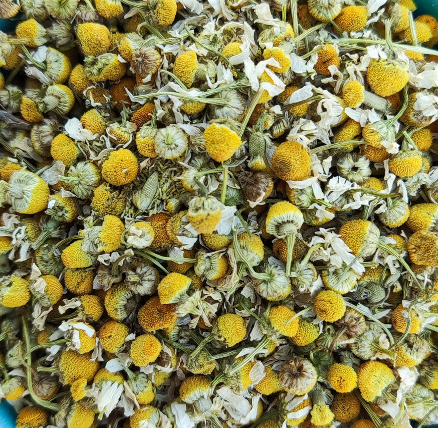 Bild für Kamille (Matricaria Chamomilla) Bio