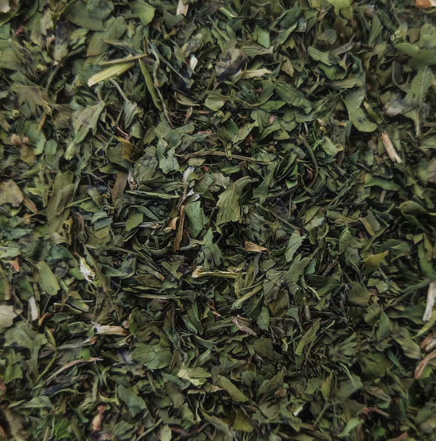 Image for Coriander Leaves (Cilantro)