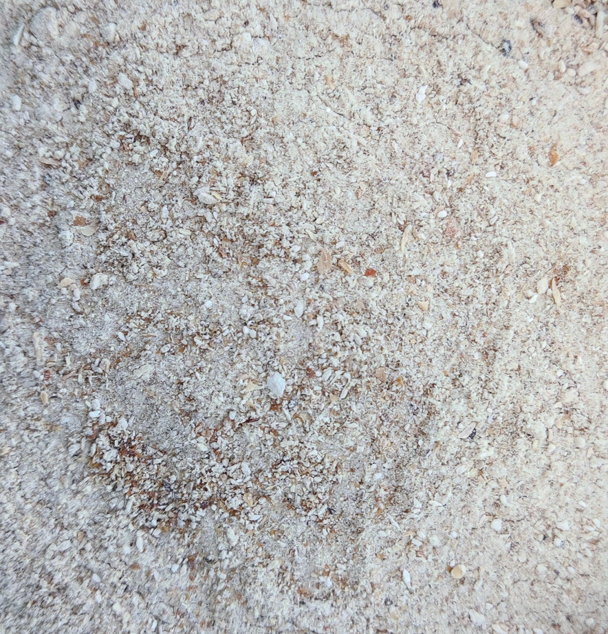 Image for Oyster Mushroom Powder (Pleurotus Ostreatus)