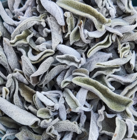 Cretan Sage (Salvia Fruticosa / Salvia Triloba)I Organic