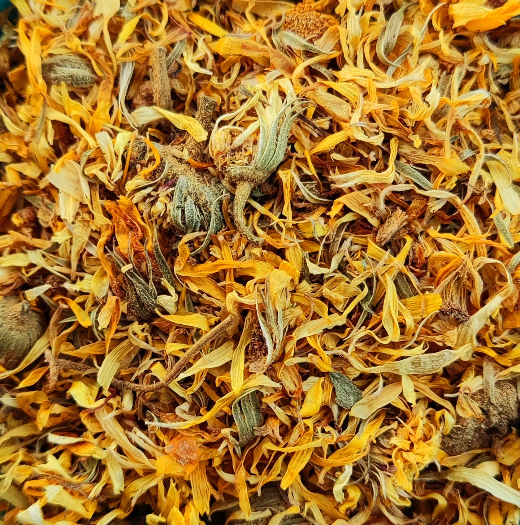 Marigold (Calendula Officinalis)