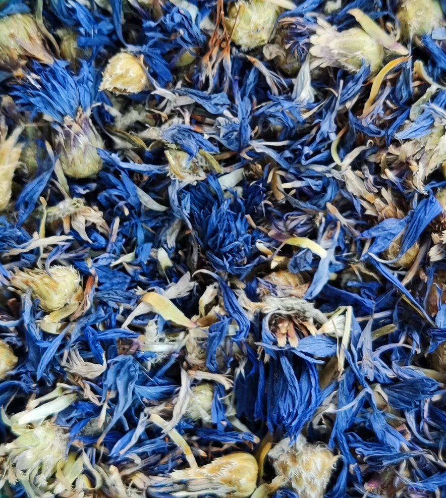 Image for Blue Cornflower (Centaurea Cyanus)