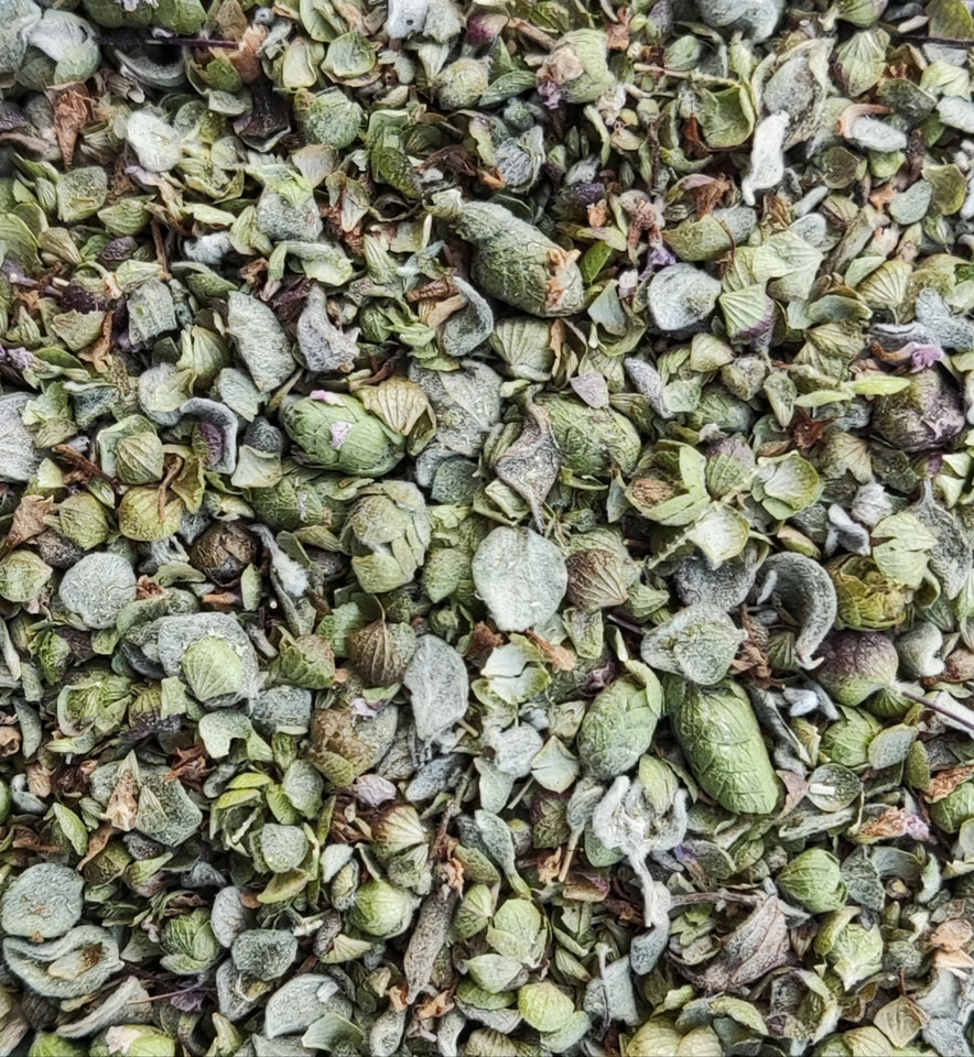 Image for Cretan Marjoram | Organic (Origanum Majorana)