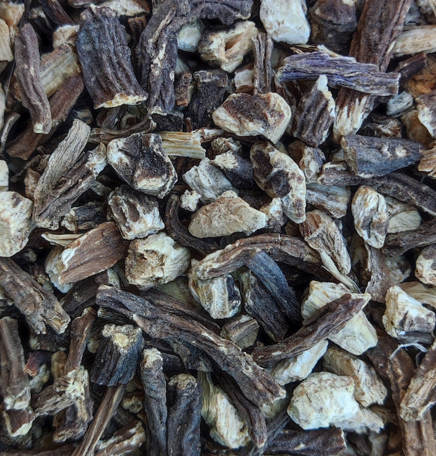 Image for Angelica Root (Archangelica Officinalis)