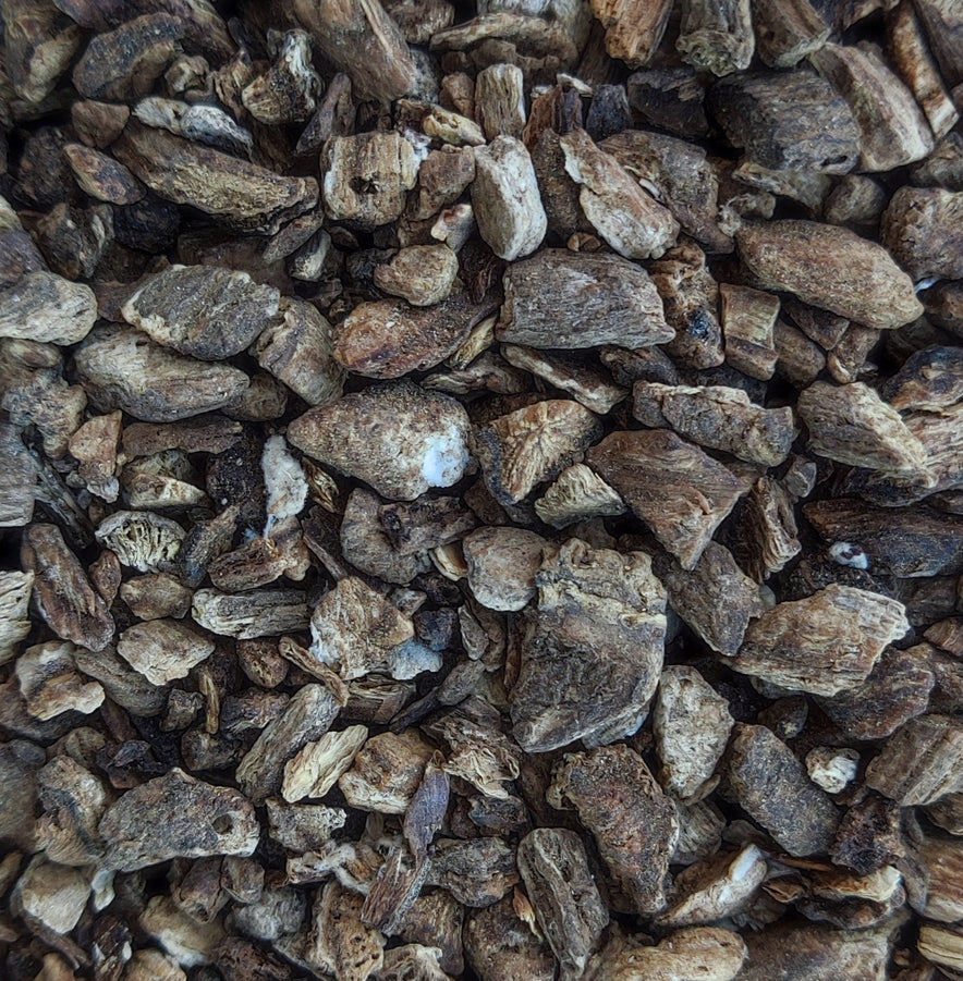 Image pour Racine de bardane commune (Arctium Lappa)