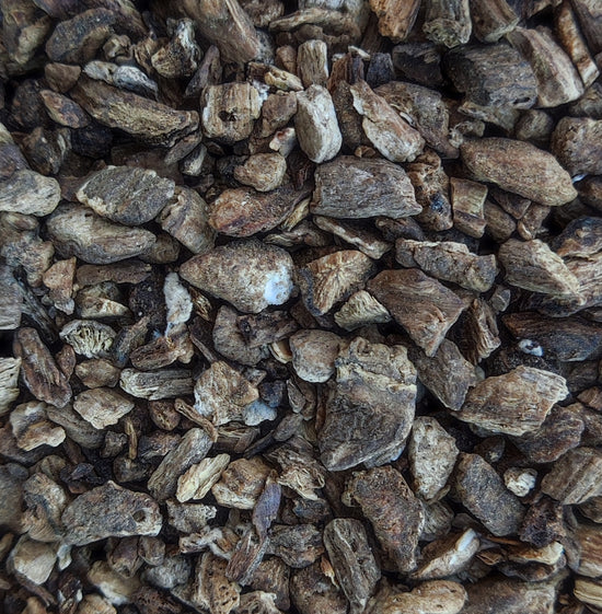 Burdock Root (Arctium Lappa)