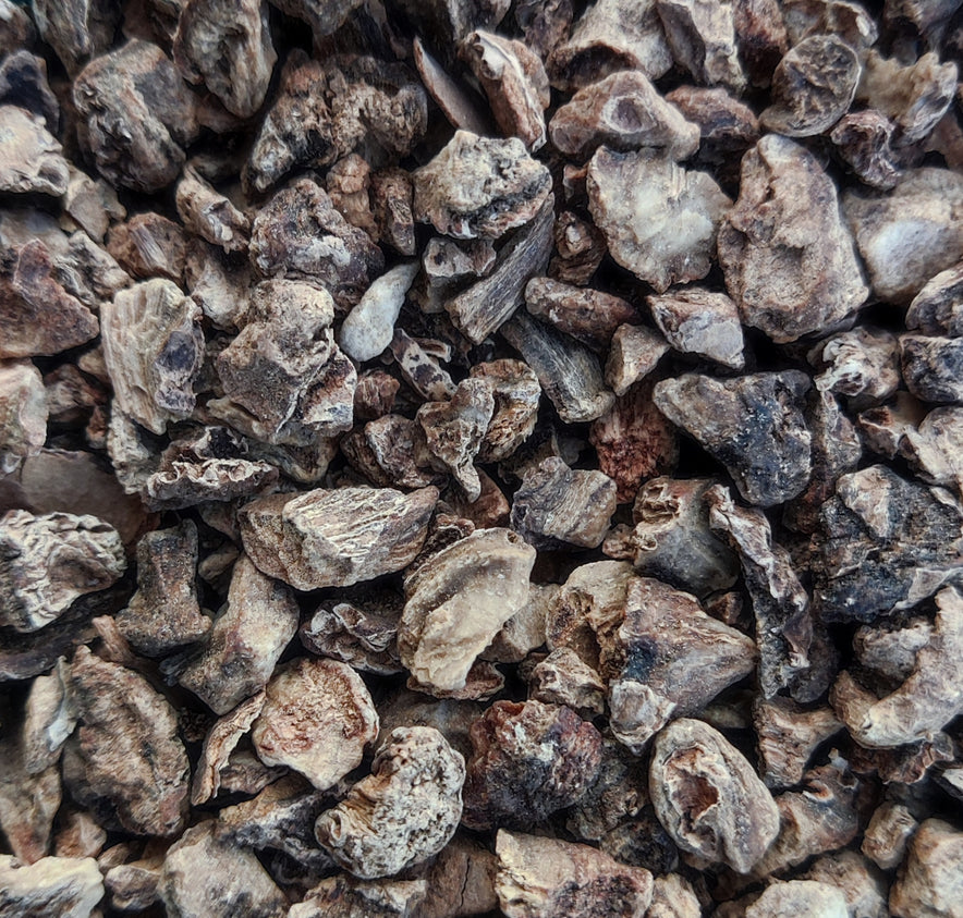 Image for Devil's Claw Root (Harpagophytum Procumbens)