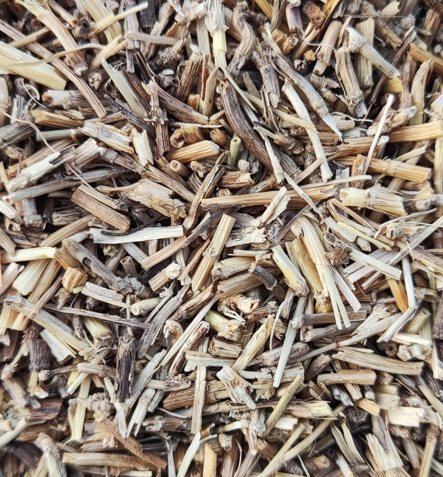 Image for Couch Grass (Agropyron Repens)