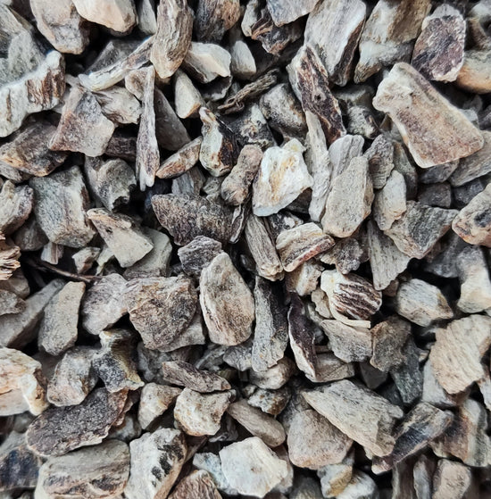 Elecampane Root (Inula Helenium)