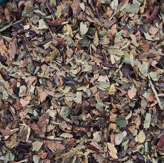 Maidenhair Fern (Adiantum Capillus-Veneris)