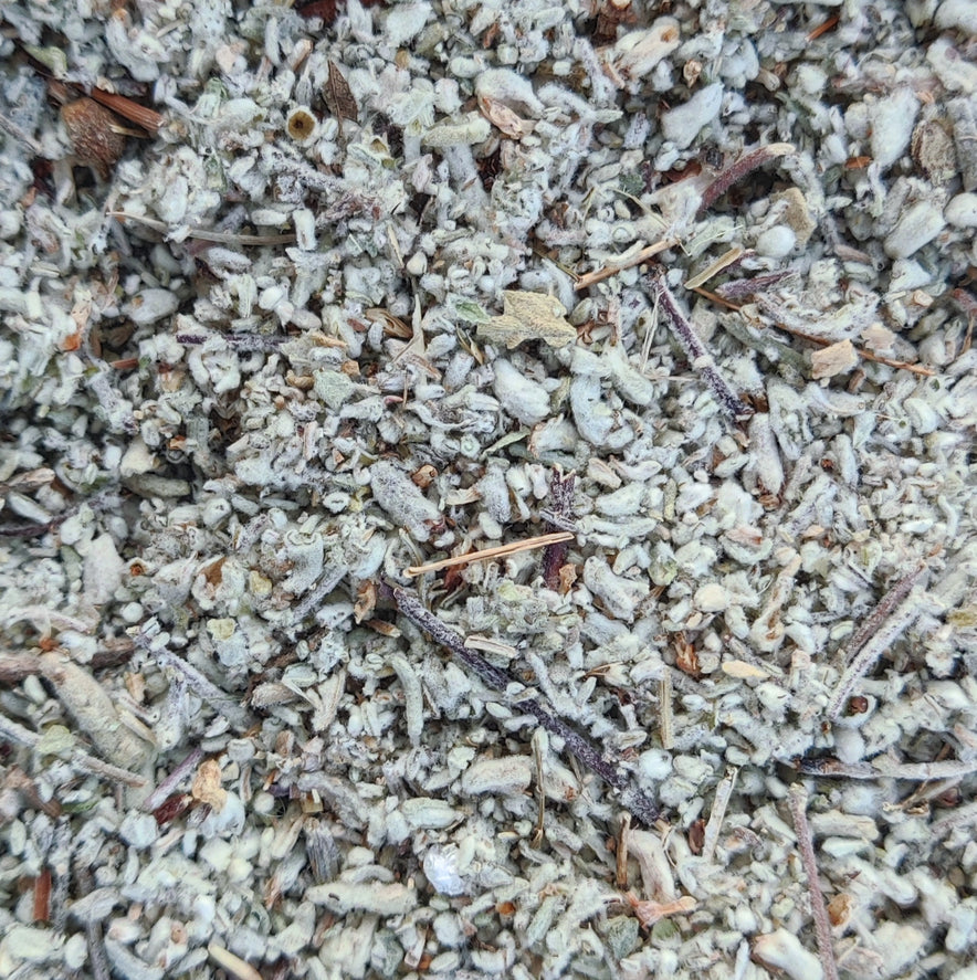 Image pour Germandrée tomenteuse (Teucrium Polium)