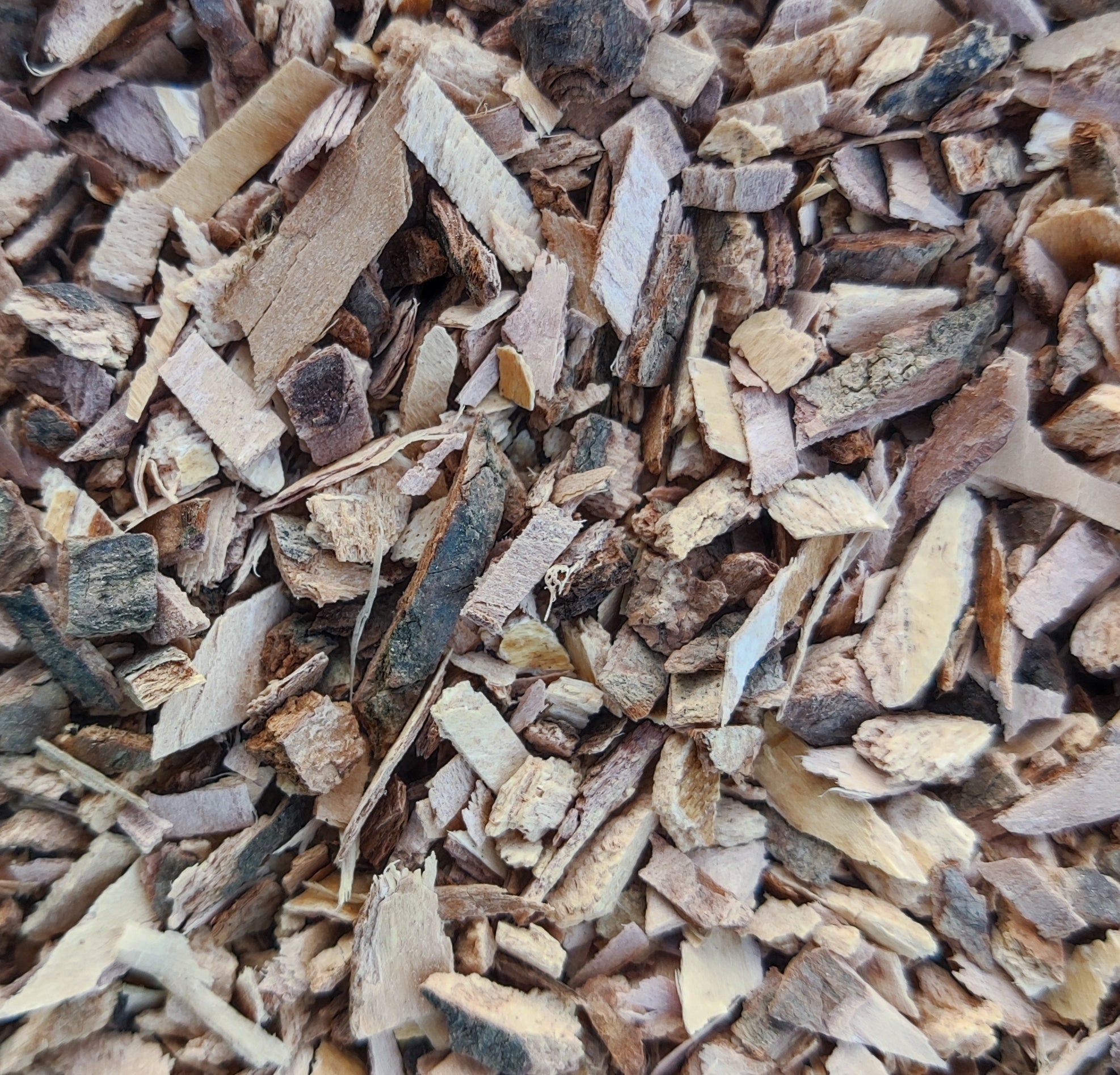 Cramp Bark (Viburnum Opulus)