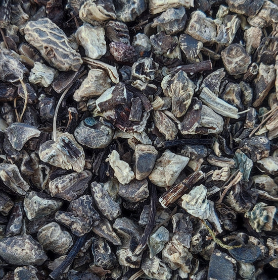 Black Cohosh Root (Cimicifuga Racemosa / Actaea Racemosa)