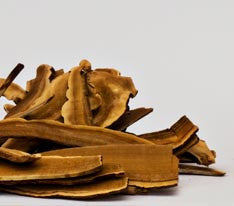 Reishi Mushrooms (Ganoderma Lucidum)