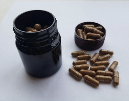 Shilajit-Kapseln (Asphaltum Punja-Bianum)
